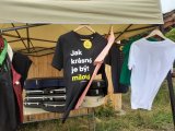 Aneta Langerová na Barokním dvoře Borotín